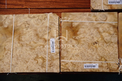 Натуральный шпон Тис корень