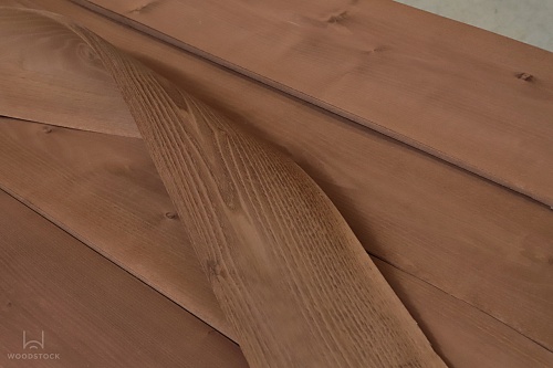 Акация Морёная Акация Морёная