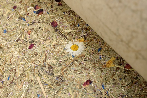 Экополотно ORGANOID Красочный Тироль Экополотно ORGANOID Красочный Тироль