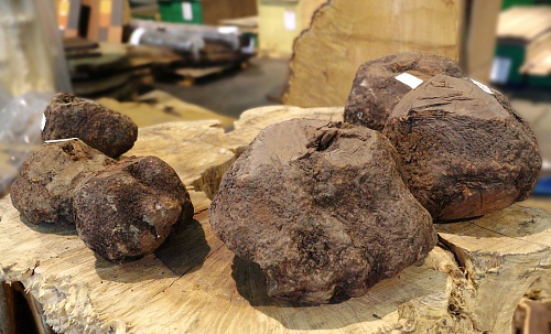 Другие формы Бриар корень [Bruyere Burl]