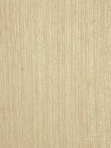 Натуральный шпон Кото Натуральный шпон Кото