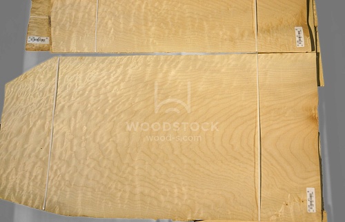 Клен Quilted Клен Quilted