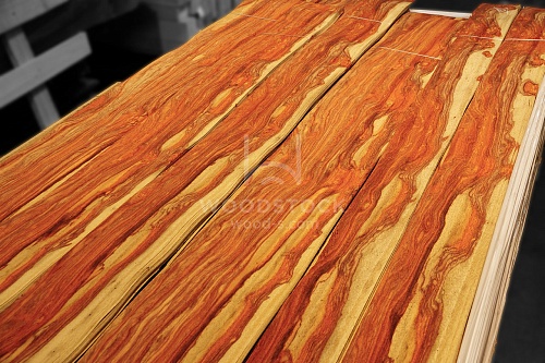 Натуральный шпон Такула Натуральный шпон Такула