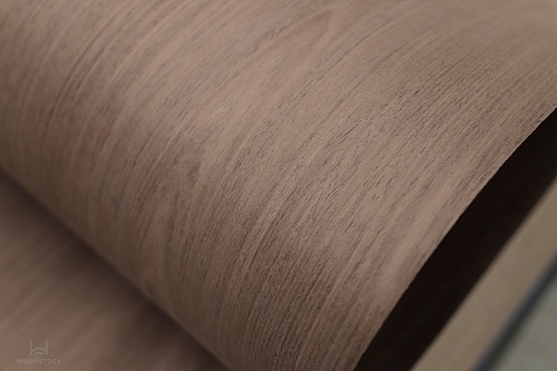 Espresso 1604C Espresso 1604C