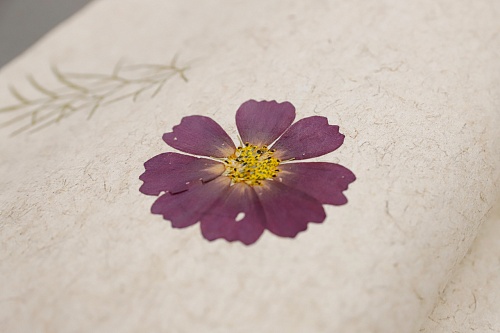 Экополотно Violette