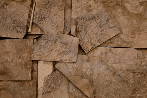 Натуральный шпон Орех европейский корень