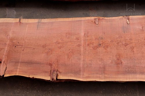 Пиломатериалы Секвойя, слэб Пиломатериалы Секвойя, слэб