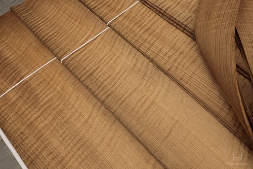 Дуб Американский Морёный Frisse