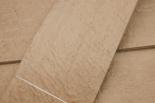 Дизайн-шпон TABU Клен «птичий глаз» 05.060 Дизайн-шпон TABU Клен «птичий глаз» 05.060