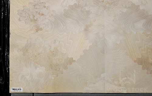 Серия LUXURY Орех корень 99.002 Серия LUXURY Орех корень 99.002