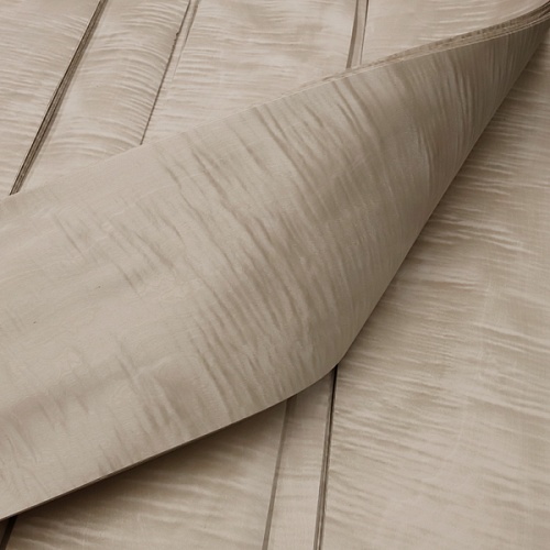 Клён Сикомора 09.S.026 Клён Сикомора 09.S.026