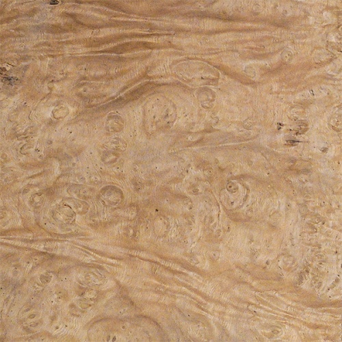 Натуральный шпон Каштан корень Натуральный шпон Каштан корень