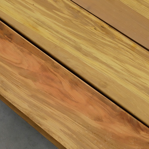 Олива Лаора