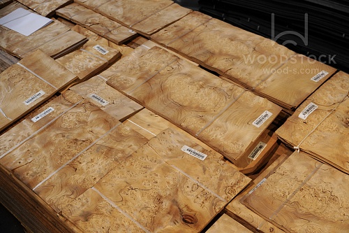 Натуральный шпон Тис корень