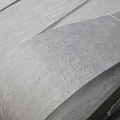 Клён Птичий глаз 05.070