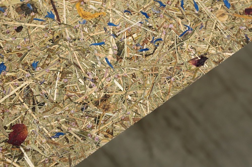 Экополотно ORGANOID Красочный Тироль Экополотно ORGANOID Красочный Тироль