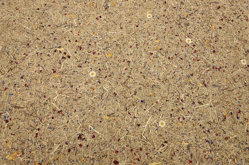 Экополотно ORGANOID Красочный Тироль Экополотно ORGANOID Красочный Тироль