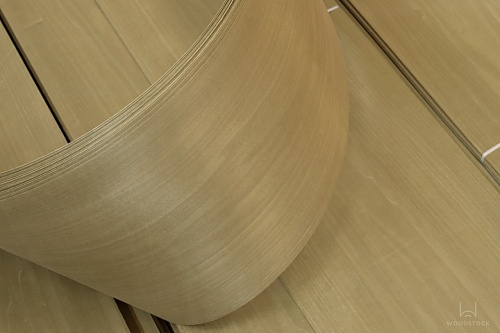 Тополь 52.072 Тополь 52.072