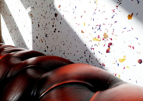 Экополотно ORGANOID Горный Василек и Лойташ Экополотно ORGANOID Горный Василек и Лойташ