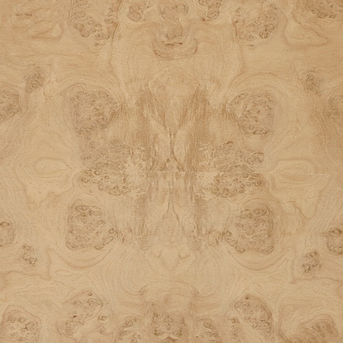 Сращенный шпон Дуб корень Сращенный шпон Дуб корень