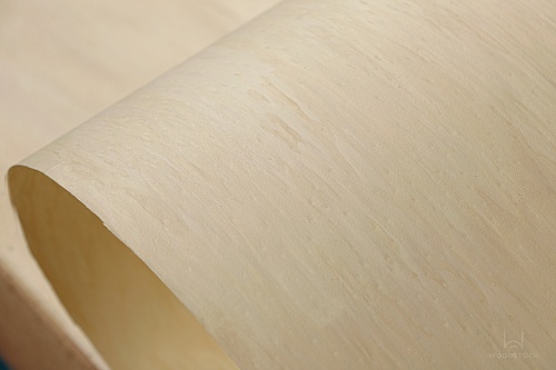 Коллекция DUNA Мультишпон WEB V