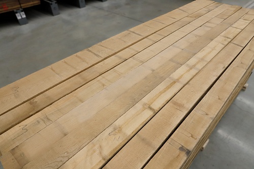 Дуб Дальневосточный