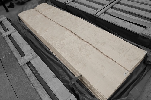 Клён Сикомора 09.S.086 Клён Сикомора 09.S.086