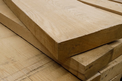 Дуб Дальневосточный