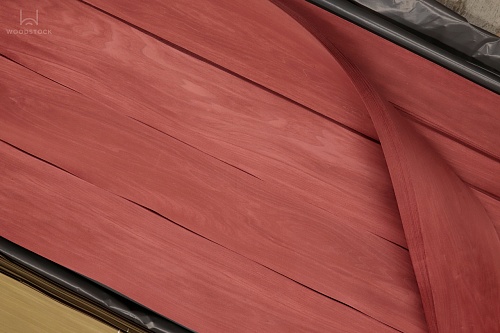 Тополь 52.095 Тополь 52.095