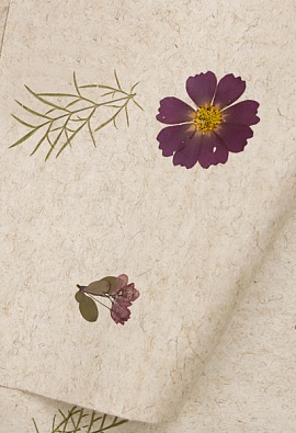 Экополотно Violette