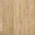 Мебельный щит Дуб сращенный   C/C 20x600x3000