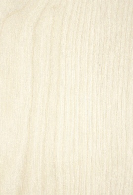 Клен [Maple]