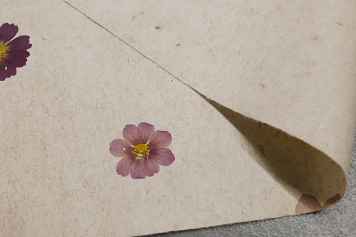 Экополотно Violette