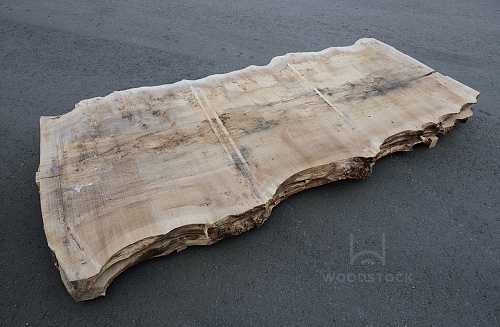 Пиломатериалы Тополь корень, слэб