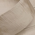 Клён Сикомора 09.S.026