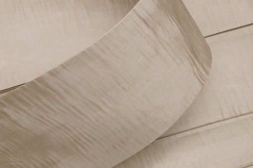 Клён Сикомора 09.S.026 Клён Сикомора 09.S.026