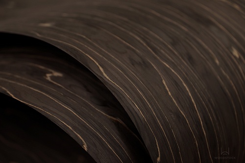 Albero 1212V Albero 1212V