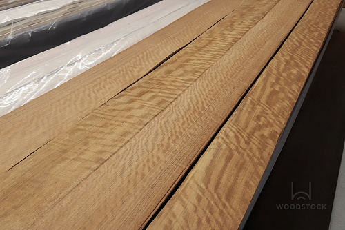 Даниэлла Frisse Даниэлла Frisse