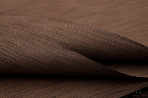 Коллекция ESPRESSO Мультишпон Chocolate S Коллекция ESPRESSO Мультишпон Chocolate S