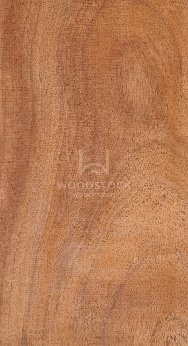 Доски Сипо [Sipo]