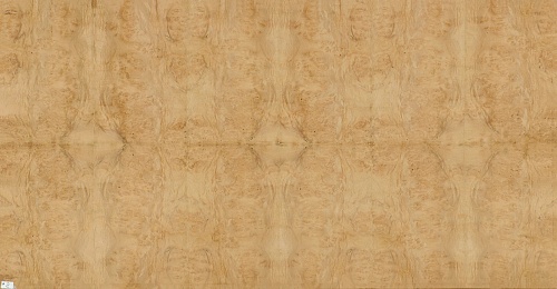 Сращенный шпон Каштан корень Сращенный шпон Каштан корень