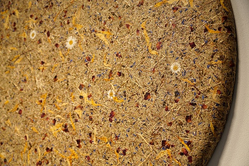 Экополотно ORGANOID Эдельвейс Экополотно ORGANOID Эдельвейс