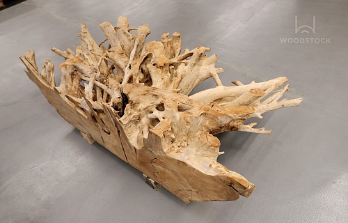 Тик корень Тик корень