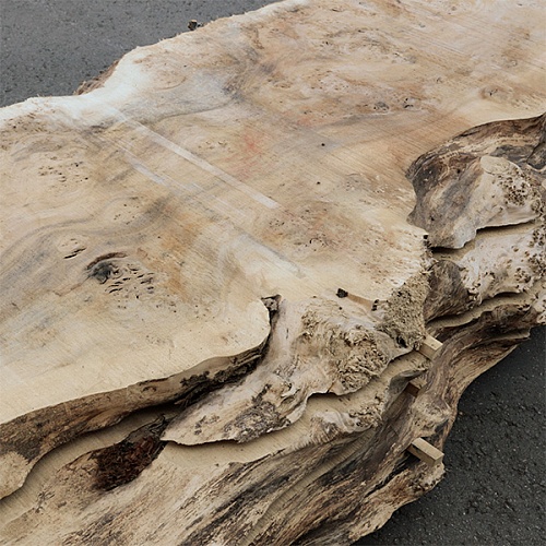 Пиломатериалы Тополь корень, слэб