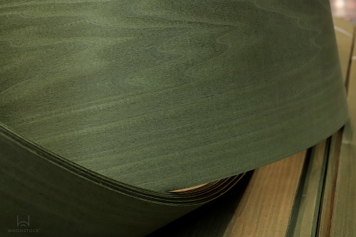 Тополь 52.079 Тополь 52.079