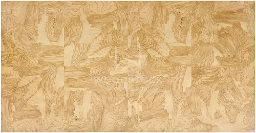 Сращенный шпон Ясень оливковый корень intarsio