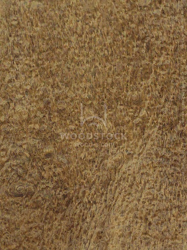 Имбайя Поммеле Имбайя Поммеле