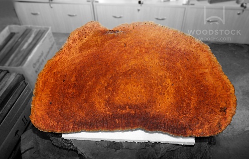 Слэбы Ярра, корень Слэбы Ярра, корень