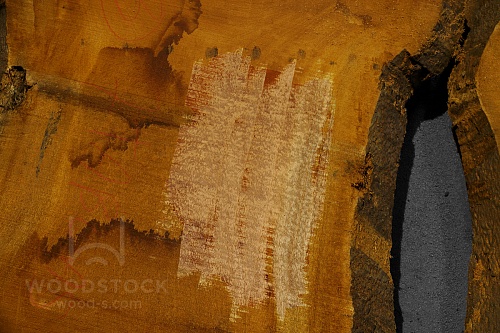 Сапеле, слэбы в ассортименте Сапеле, слэбы в ассортименте