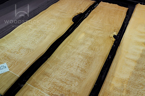 Натуральный шпон Тамо Натуральный шпон Тамо